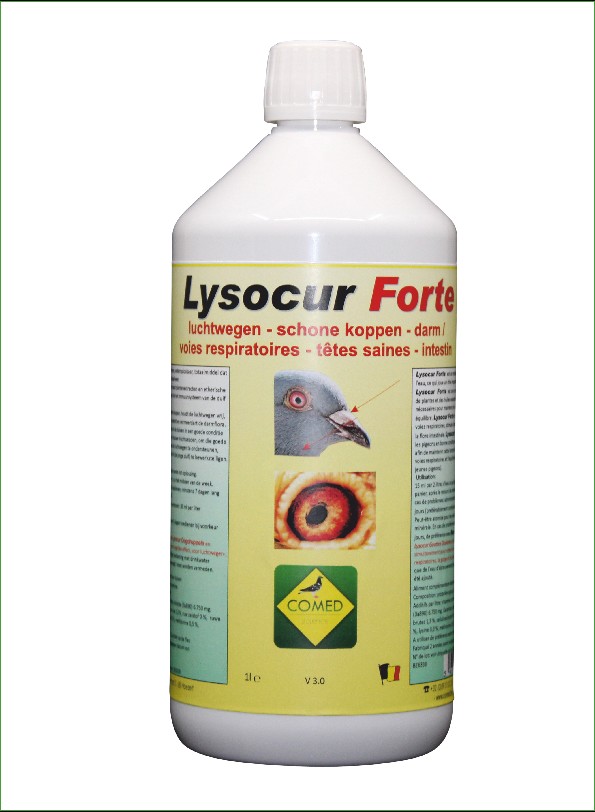 <B><BIG>Lysokur Forte 1 litr</B></big><br> Czyste drogi oddechowe - piękne głowy - jelita- </br> 