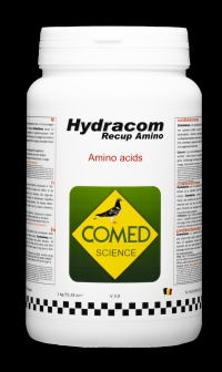Hydracom Recup AMINO  elektrolity+aminokwasy